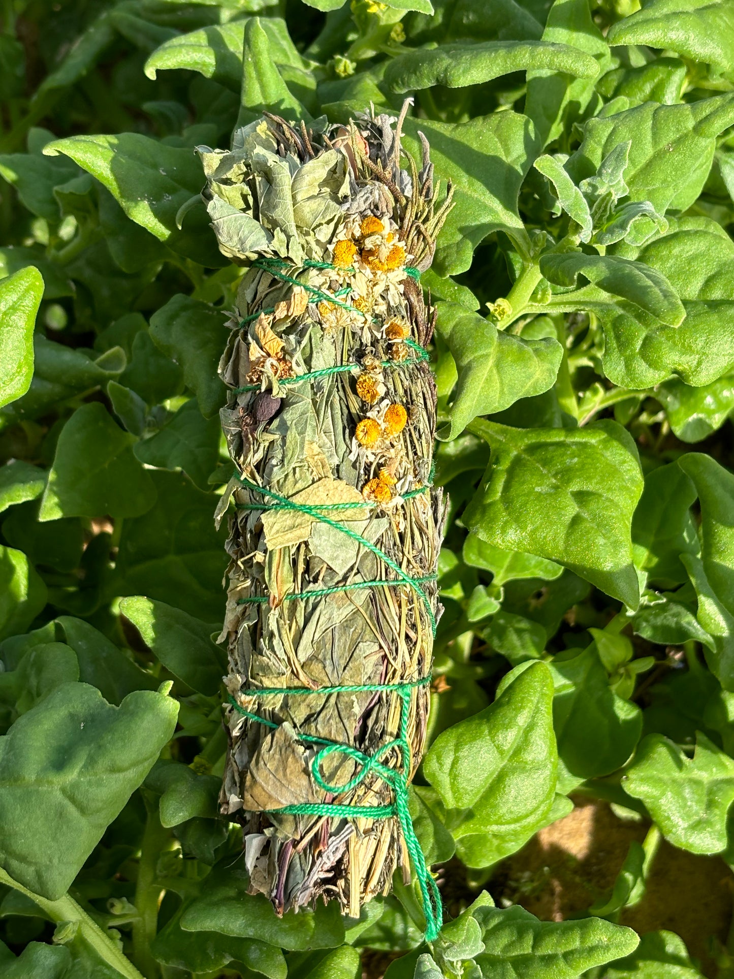 Tocha de Rosa, Lavanda e Camomila
