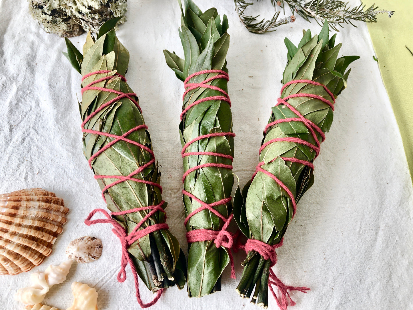 Bay Leaf Smudge Stick / Incense / Sage - alternative / Cleaning wand