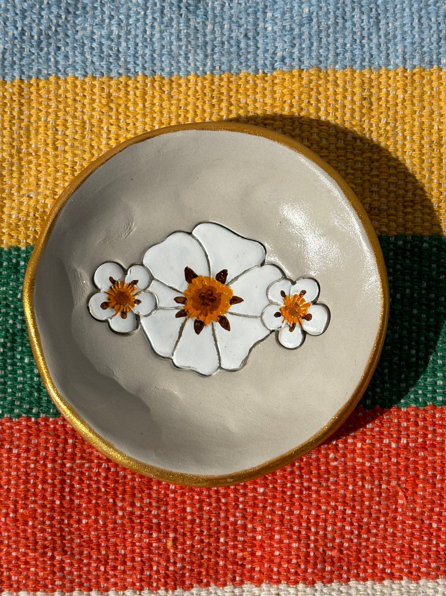 Esteva