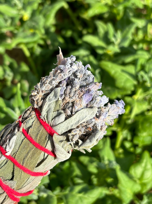 Tocha de Sálvia e Lavanda